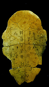 �ѡ�����¡�����Թ